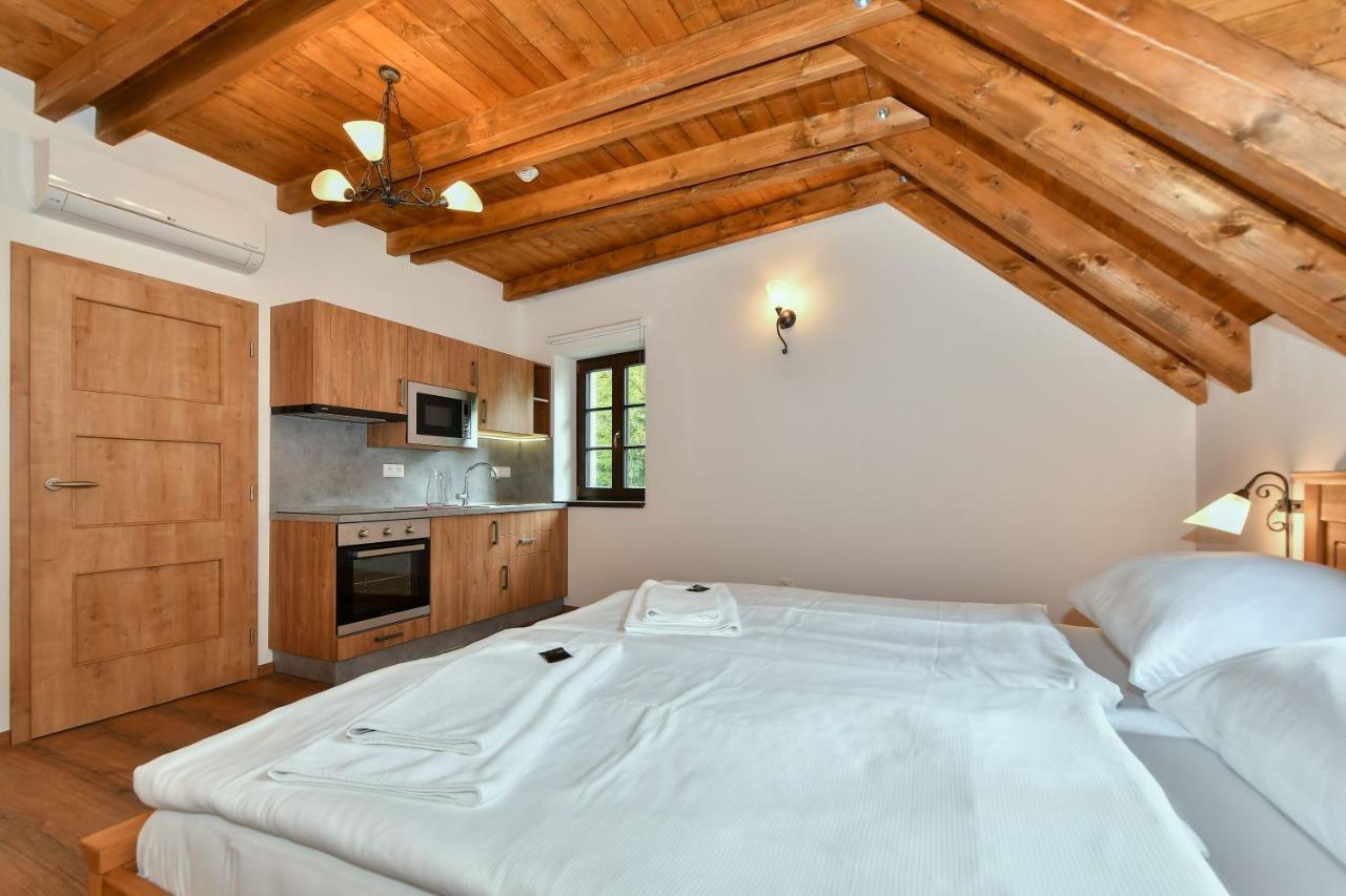 Aparthotel Zamek Castle Racice - Podzamci Undercastle *